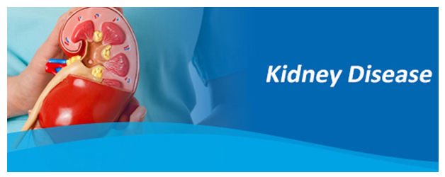 7 Important Kidney Disorder